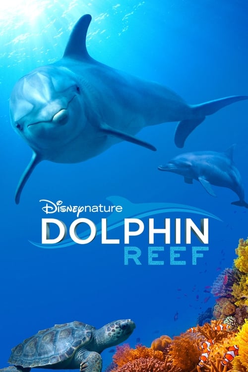 thumb Delfines, la vida en el arrecife