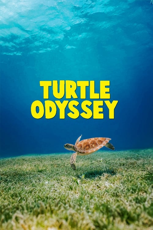 thumb Turtle Odyssey