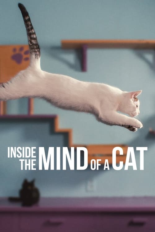 thumb En la mente de un gato